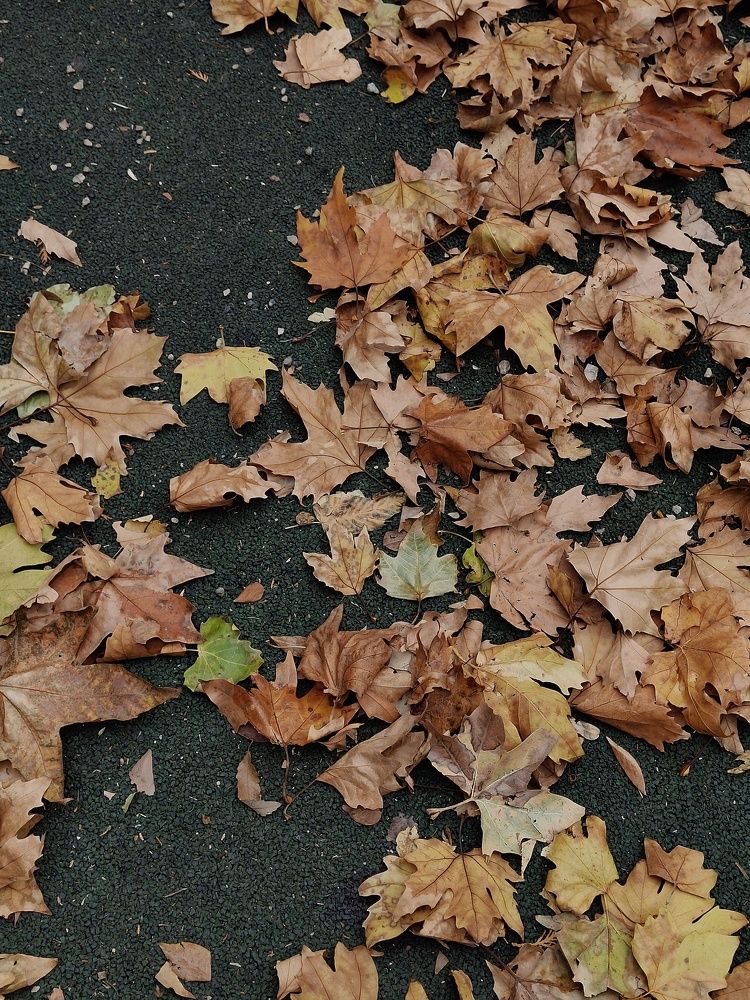 Photograph by Екатерина Романова