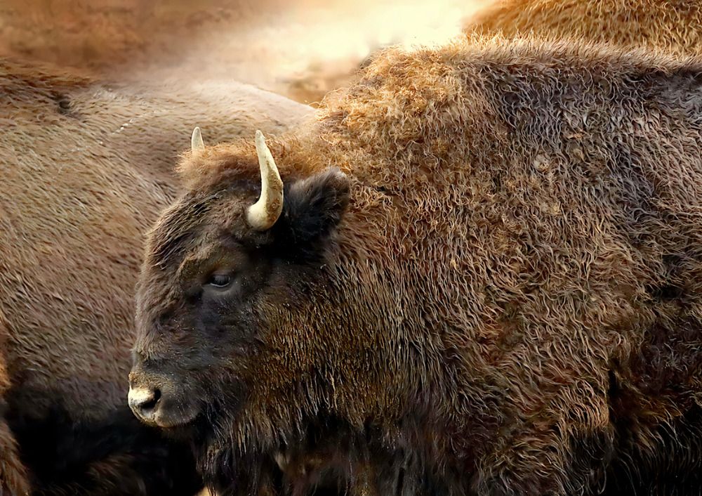 Photograph by Татьяна Слесарева