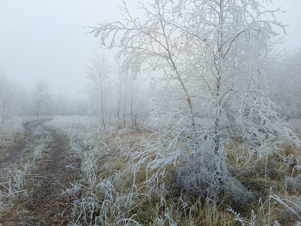 Photograph by Кондрашова Светлана