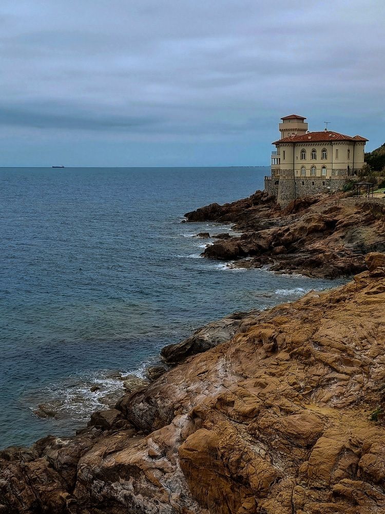 Photograph by Natasha By