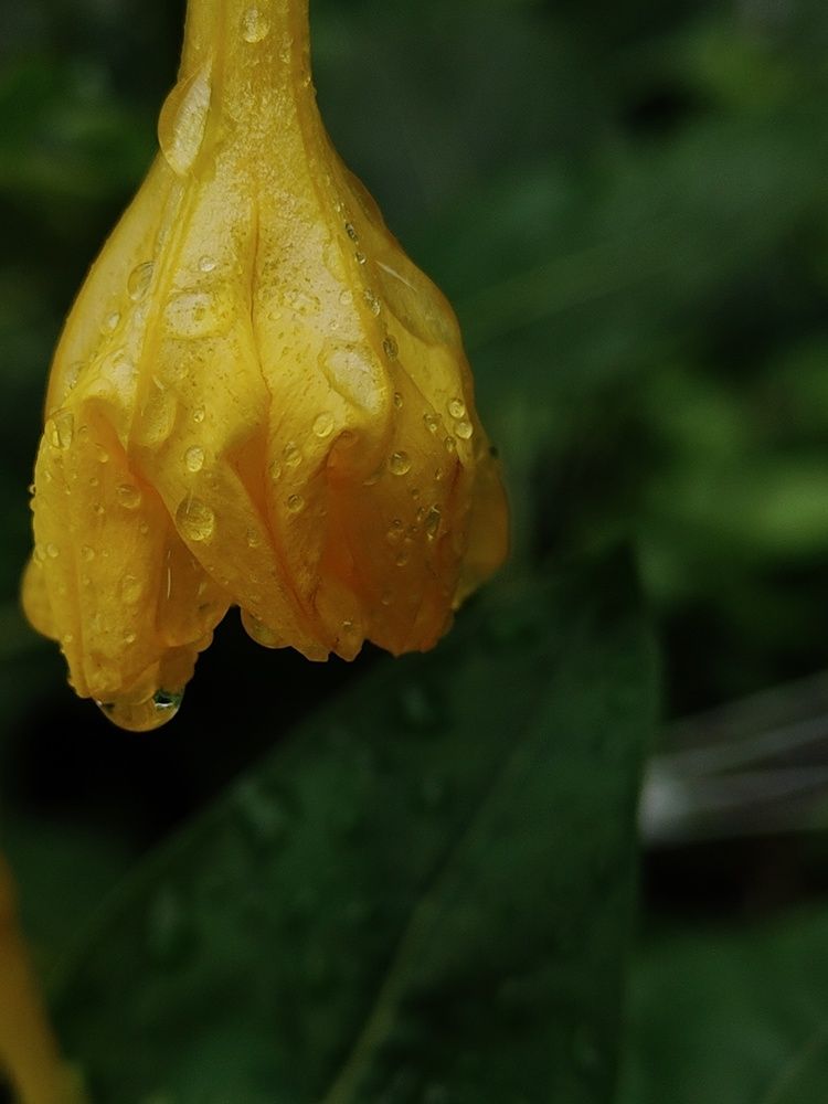 Photograph by Екатерина Романова