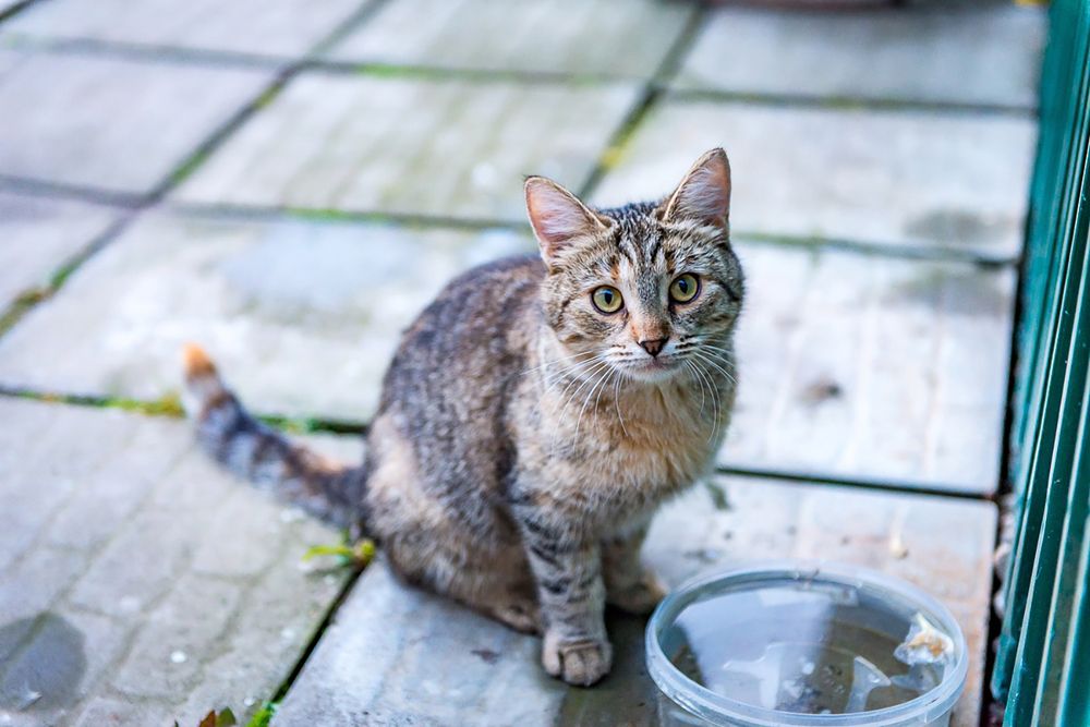 Photograph by Максим Торохов