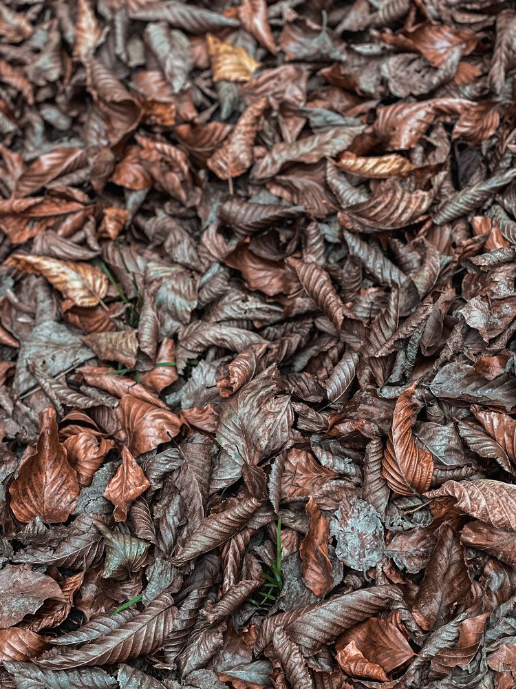 Photograph by Ольга Скиба