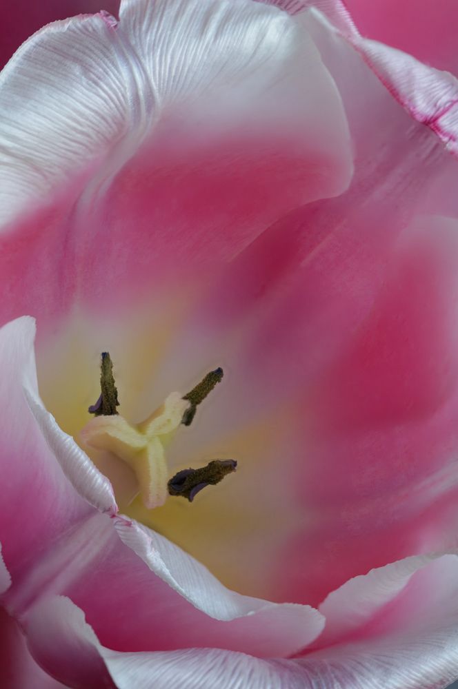 Photograph by Надежда Зайцева