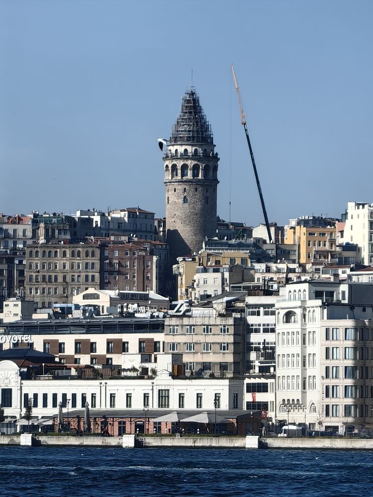 Photograph by Светлана Зыкова