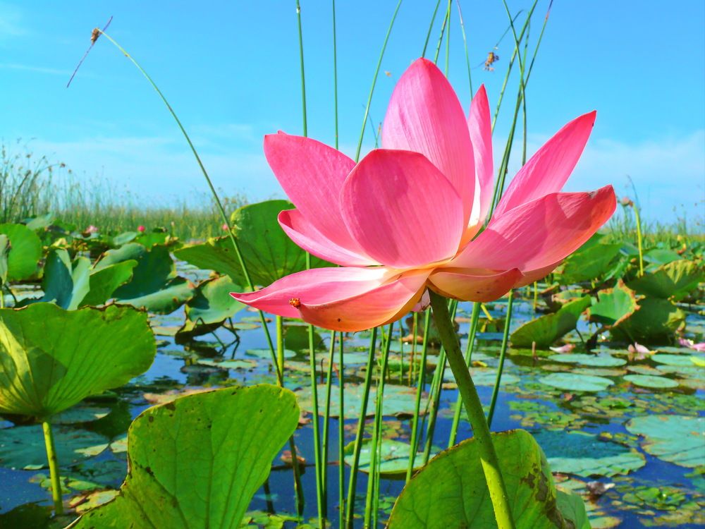 Солнечный день.