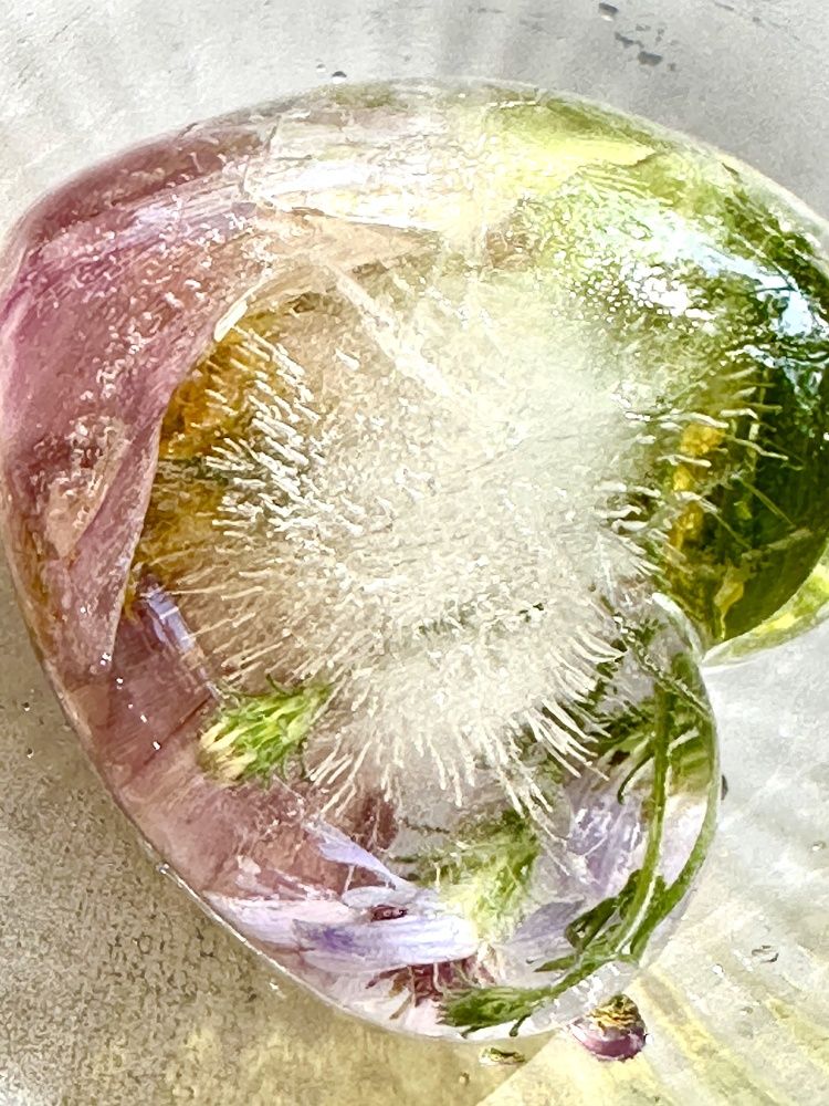 Photograph by Елена Брижеватая