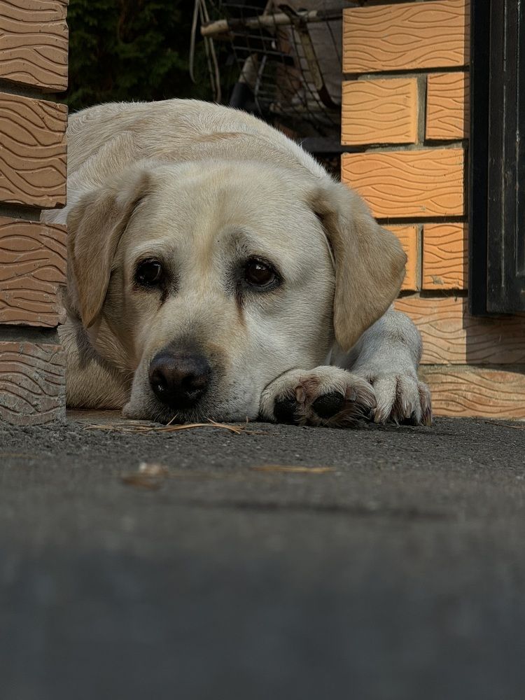 Photograph by Лилия Нуриева