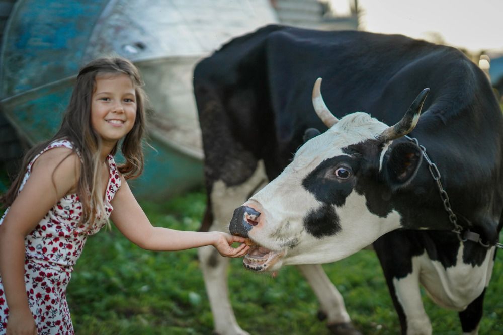 Photograph by Ульяна Ефремова