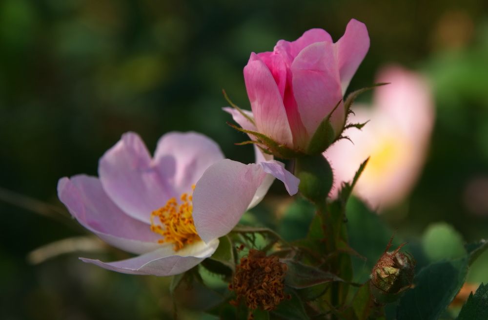 Photograph by Александр