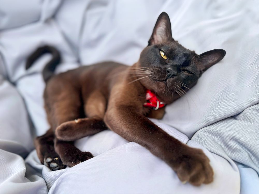 Photograph by Александр Шандов