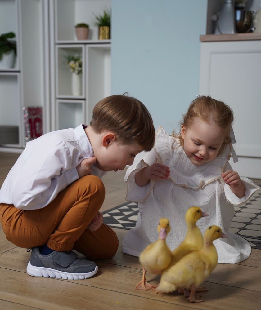 Photograph by Татьяна Собина