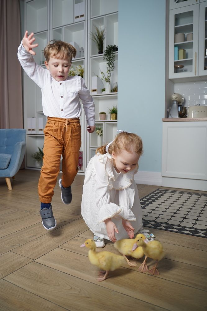 Photograph by Татьяна Собина