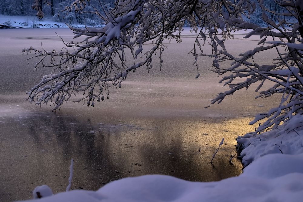 Начало зимы