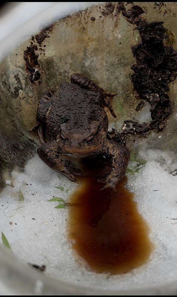 Photograph by Ирина Тихая