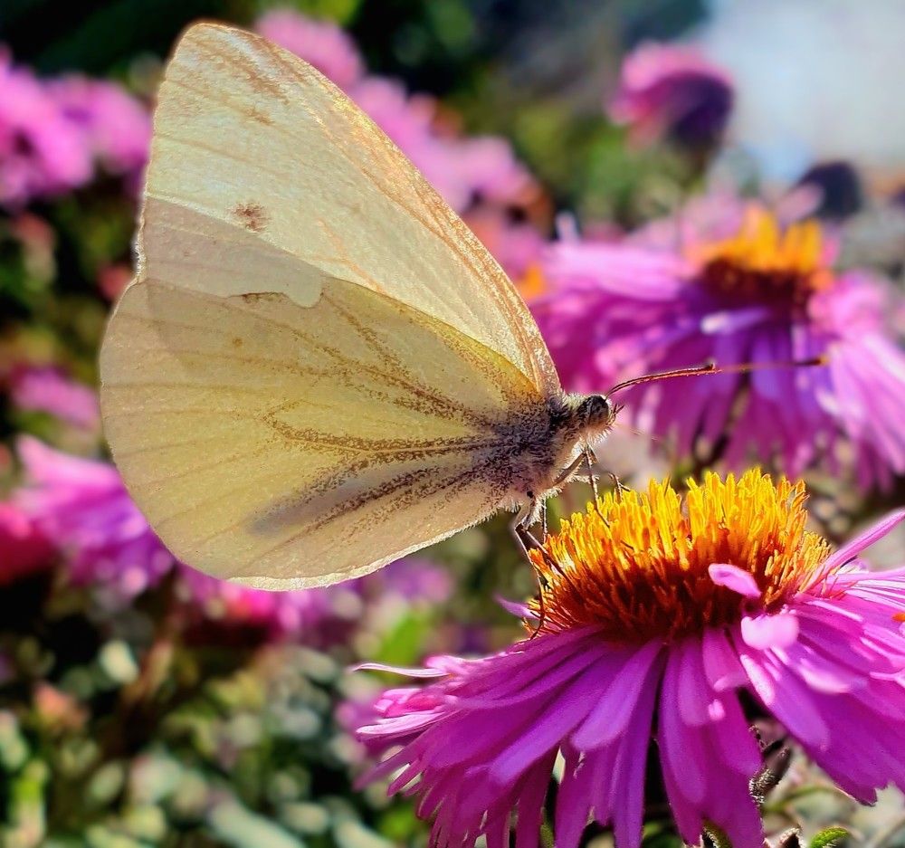 Photograph by Яна Галимуллина