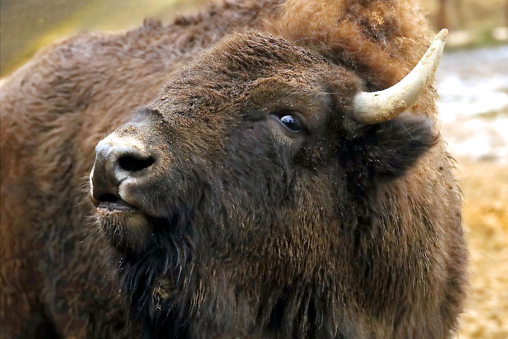 Photograph by Татьяна Слесарева