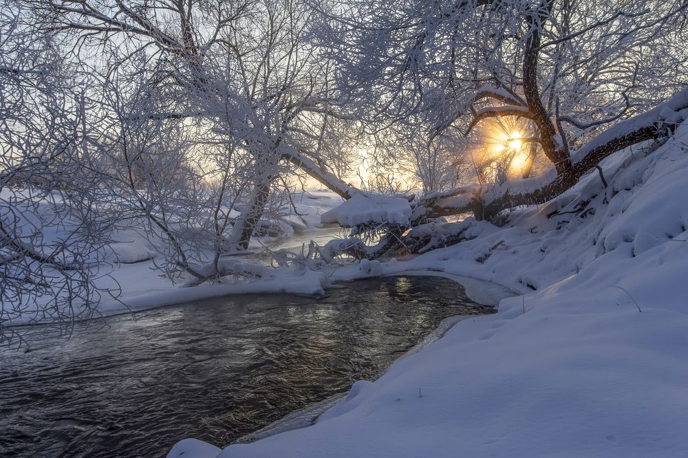 Photograph by Татьяна Феденкова