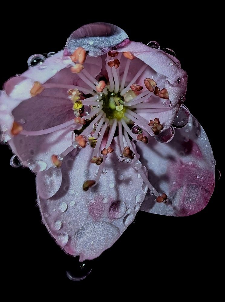 Photograph by Ирина Тихая