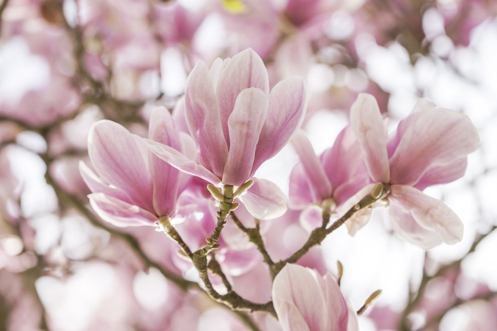 Фотография автора Uljana Kuchar