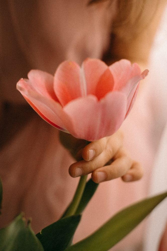 Photograph by Валерия Ефименко