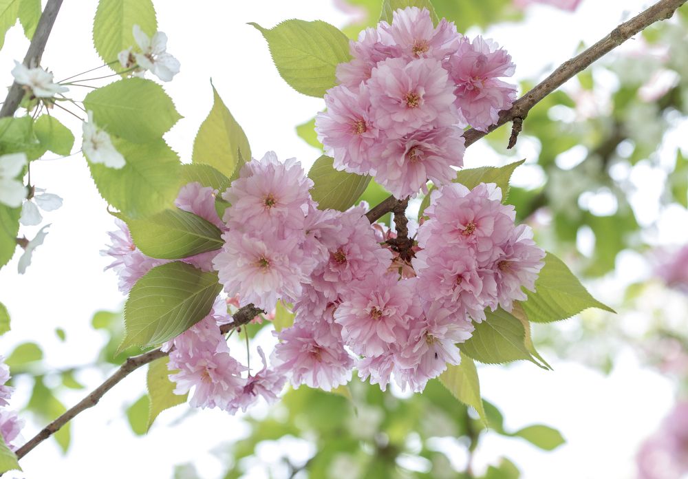 Фотография автора Uljana Kuchar