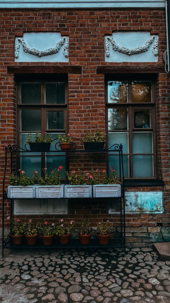 Photograph by Валерия Ефименко