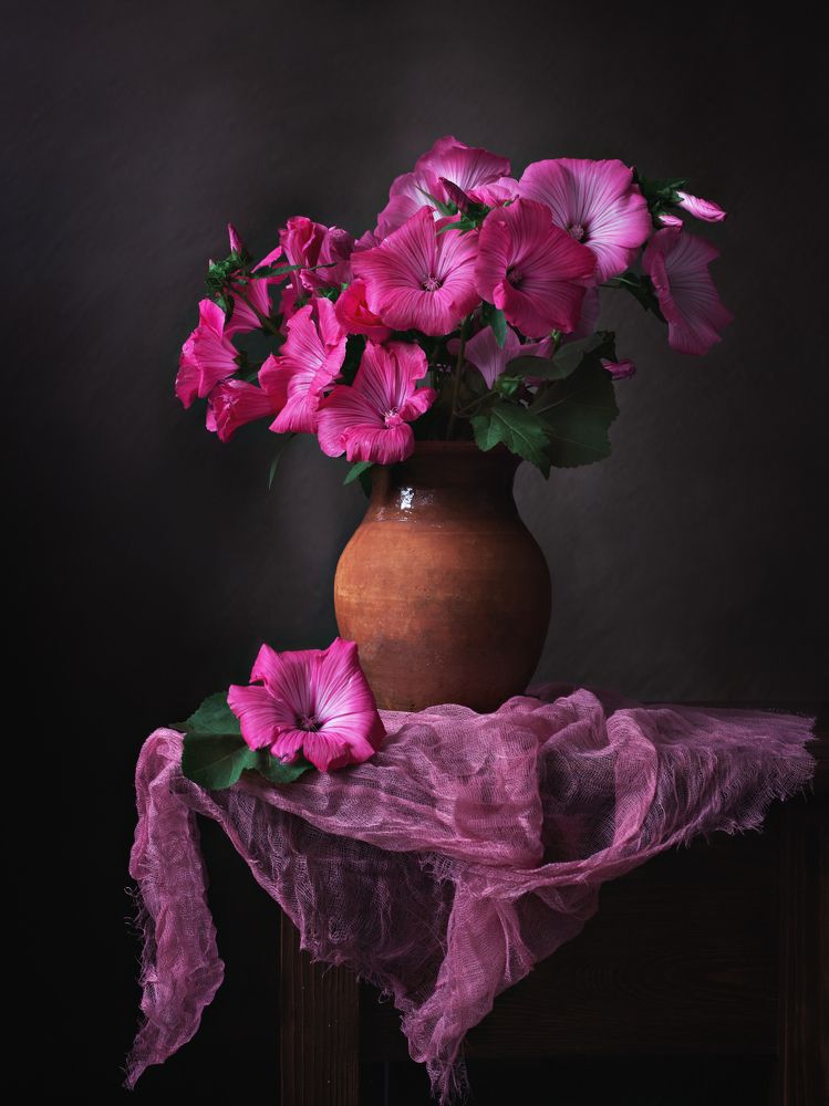 Photograph by Александра