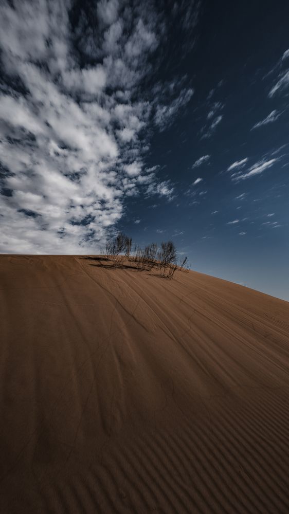 Photograph by Farshad Yazdankhah