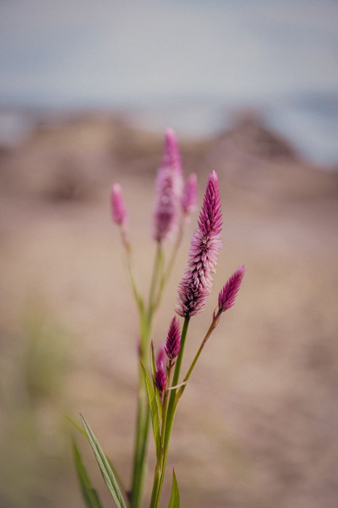 Photograph by Maria Volnova