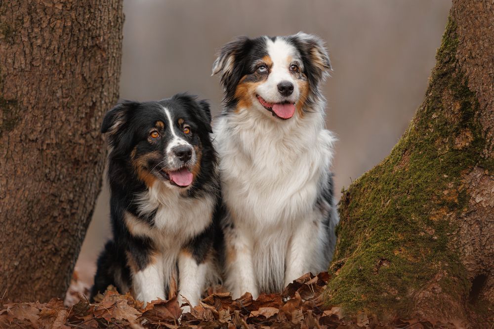 Photograph by Яна Нарбутович