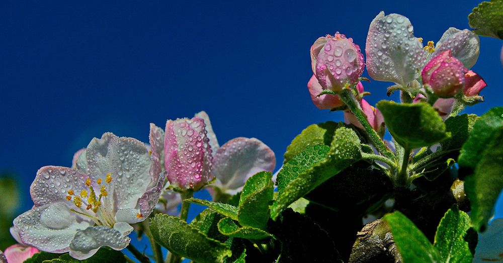 Photograph by Александр