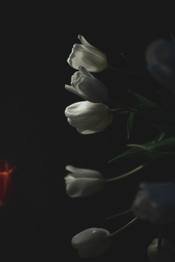 Photograph by Алина Мат