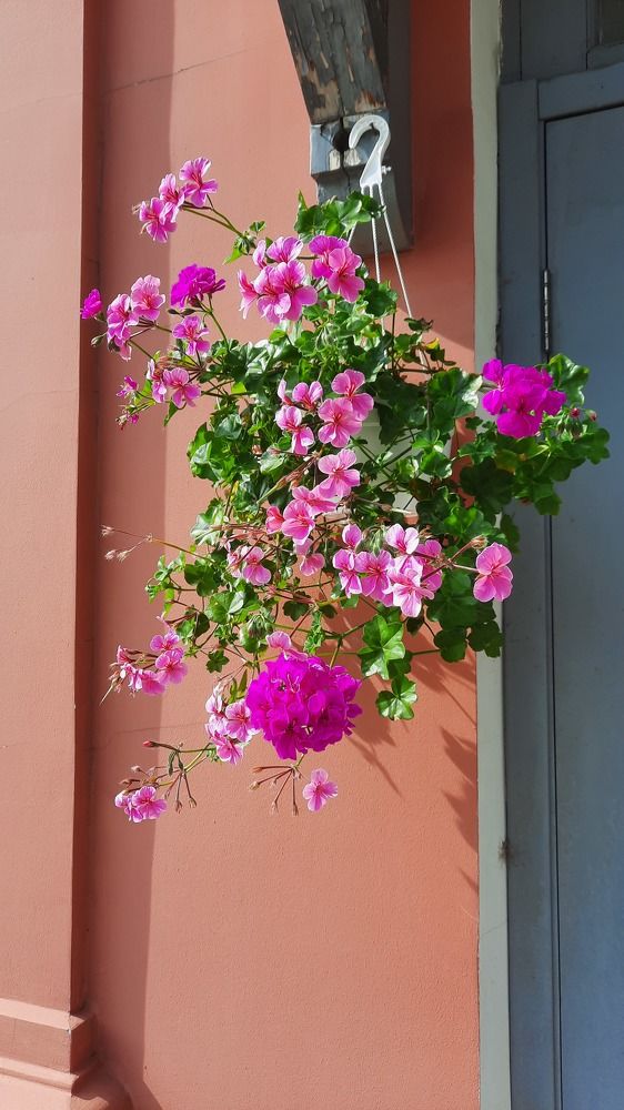 Photograph by Надежда Тузова