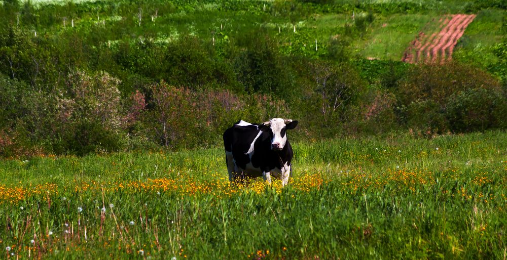 Photograph by Валентин Кузьмин