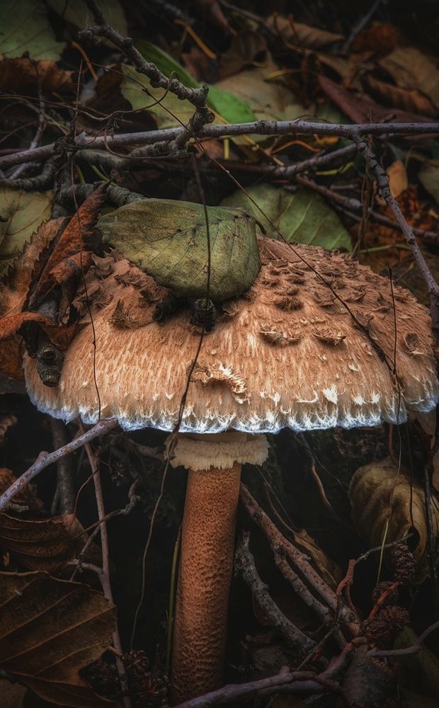 Photograph by Konstantin Martynov