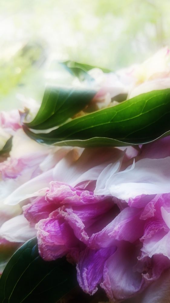 Фотография автора Татьяна Савранчук