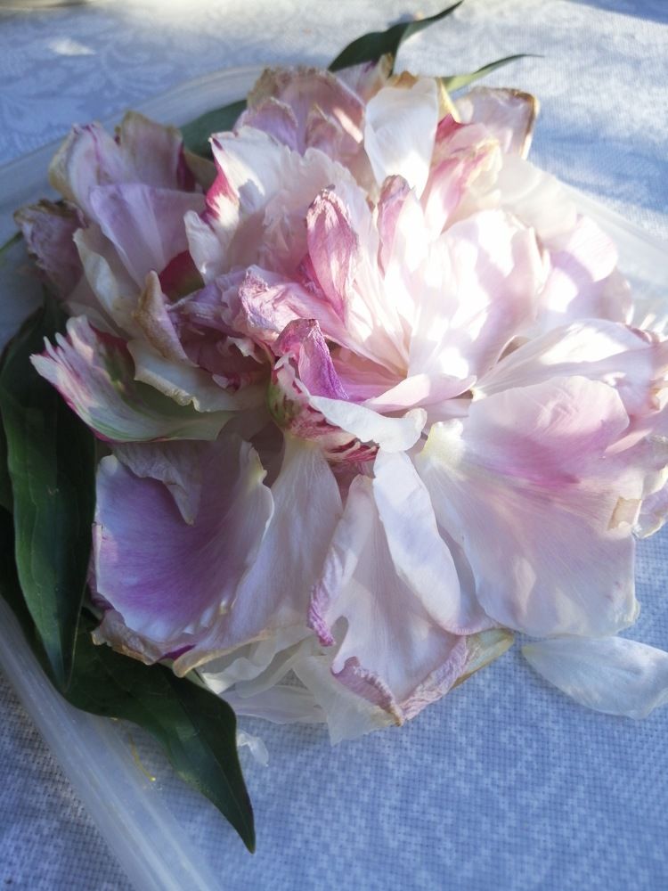 Фотография автора Татьяна Савранчук