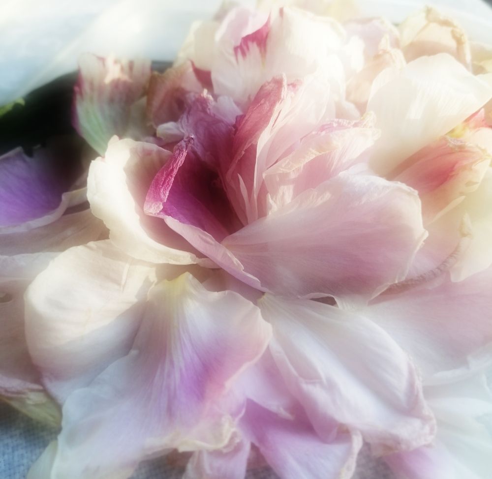 Фотография автора Татьяна Савранчук