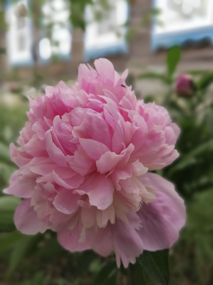 Фотография автора Татьяна Савранчук