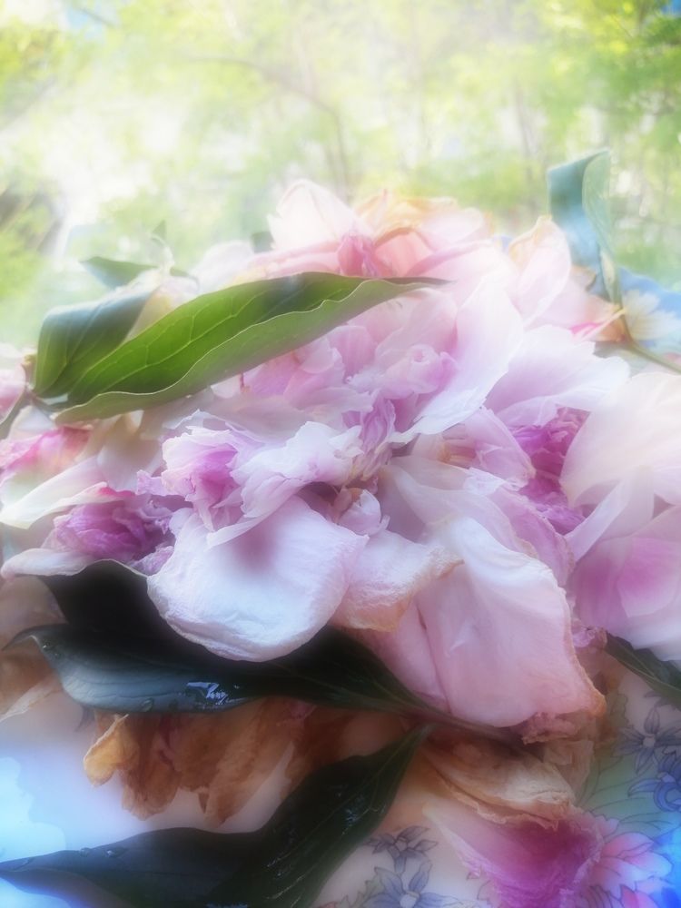 Фотография автора Татьяна Савранчук