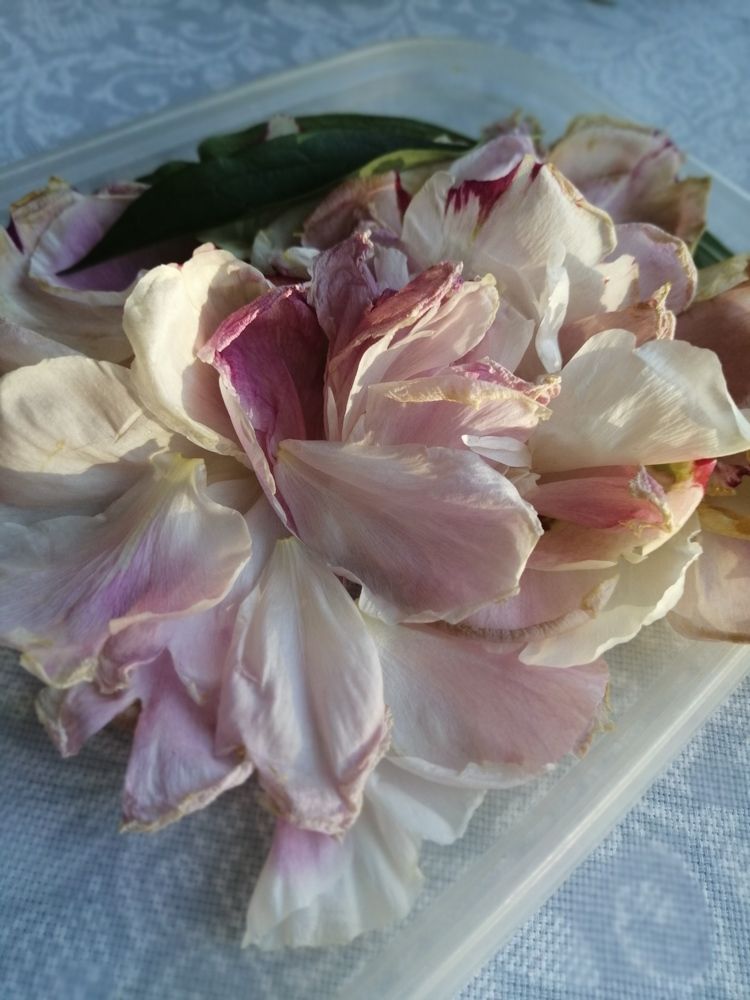 Фотография автора Татьяна Савранчук