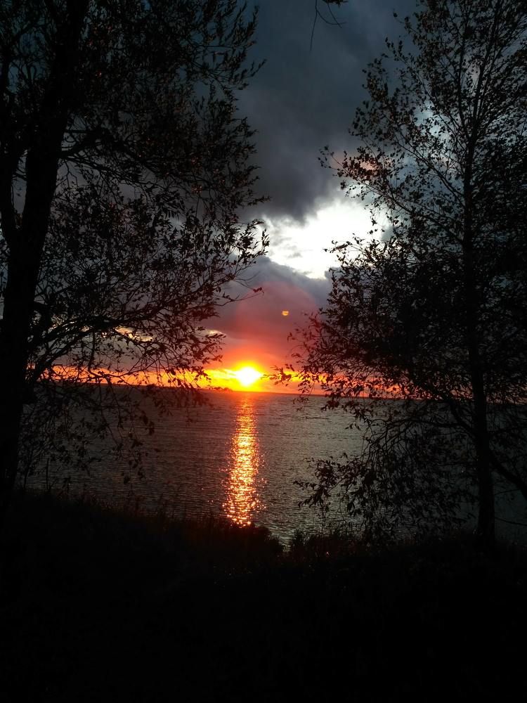 Фотография автора Рузинова Елена