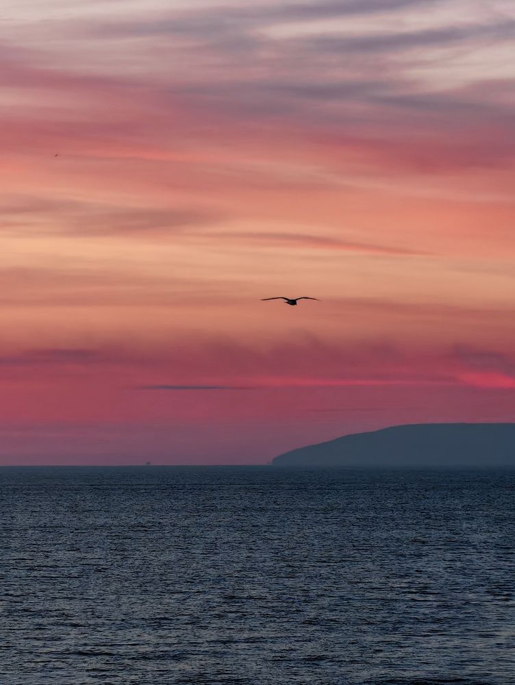 Photograph by Konstantin Martynov