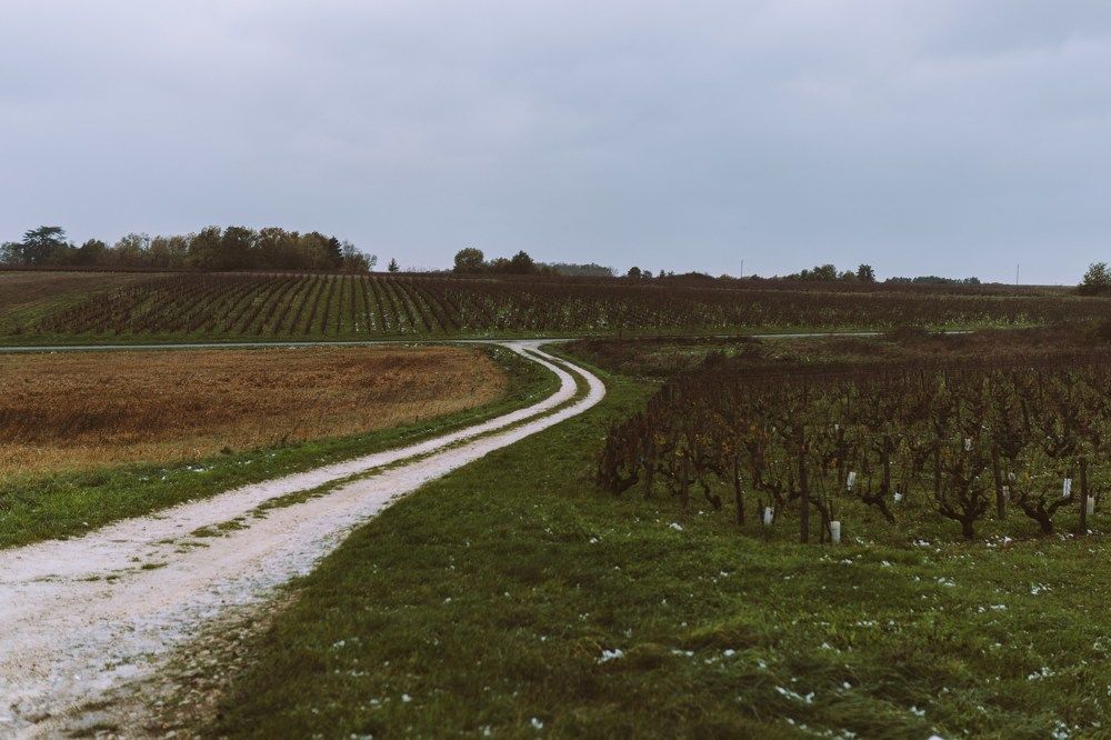 Photograph by Ольга Леонова