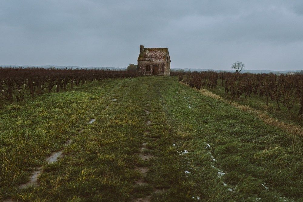 Photograph by Ольга Леонова