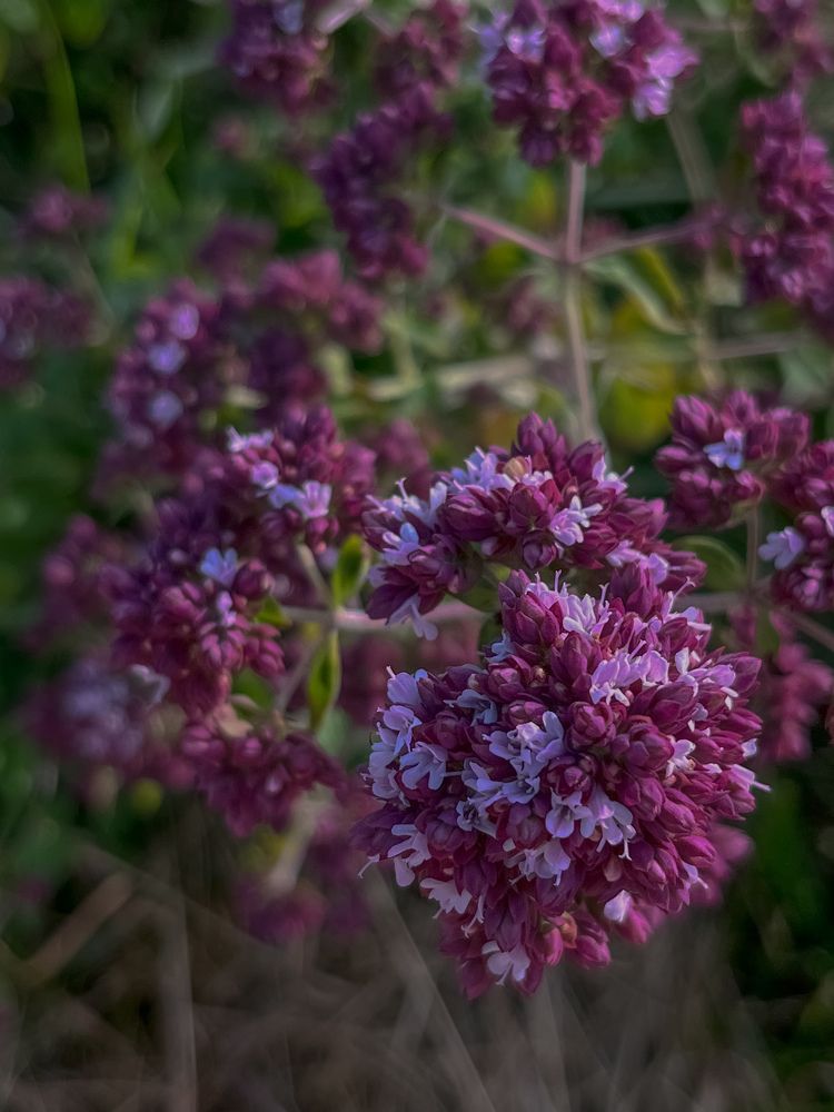 Фотография автора Аня Столярова