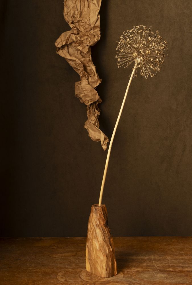 Photograph by Елена Коврижных