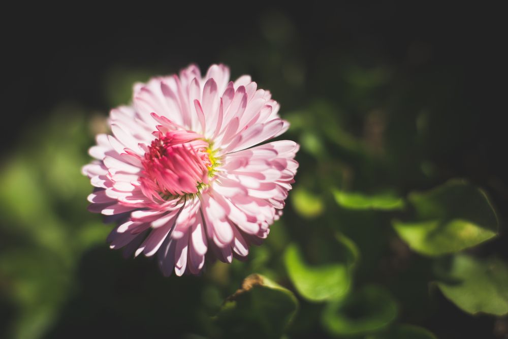 Фотография автора Войнов Дмитрий