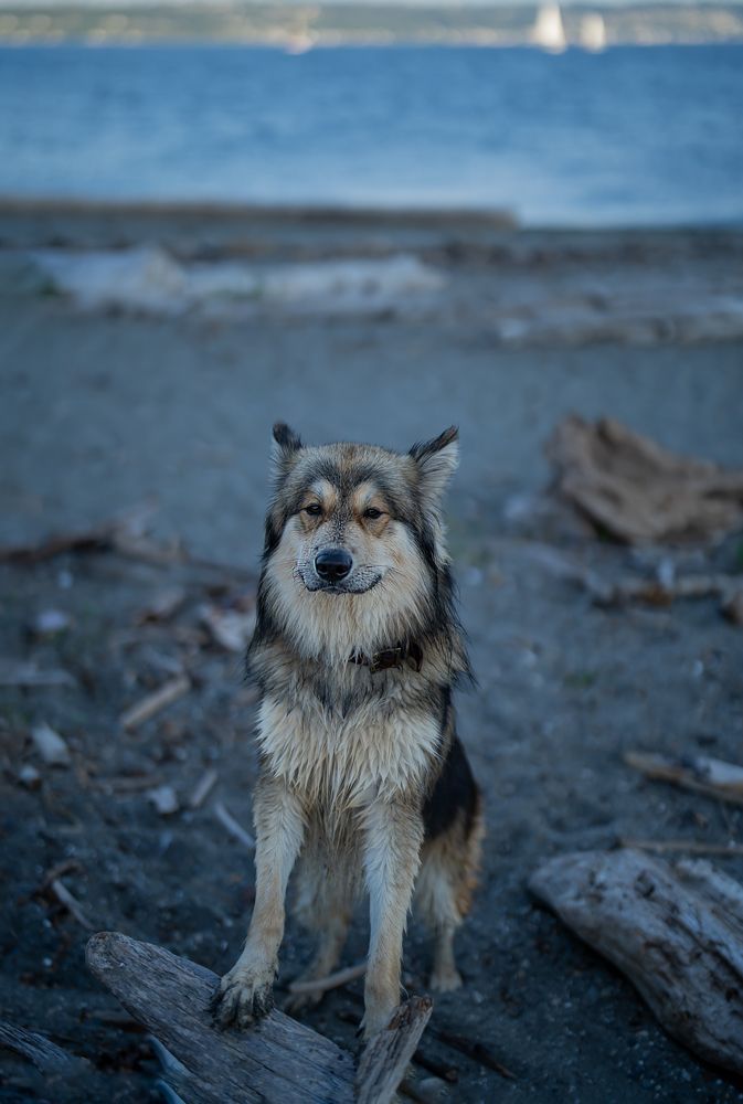 Фотография автора Borisova Natalia